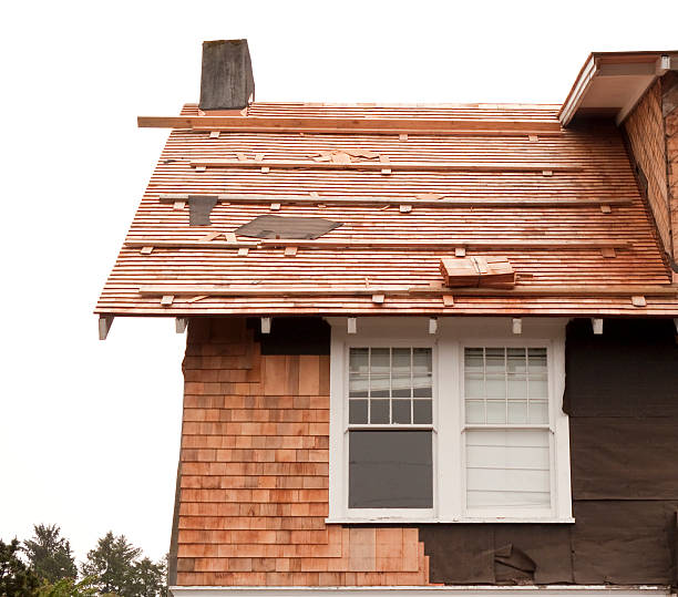 Best Wood Siding Installation  in Shasta, CA